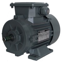 Motor electric GAMAK GM 280 (G370150475)